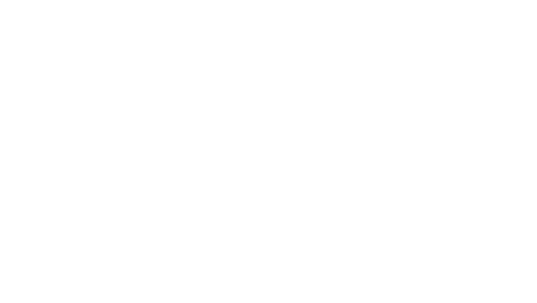 Texas Vaquero